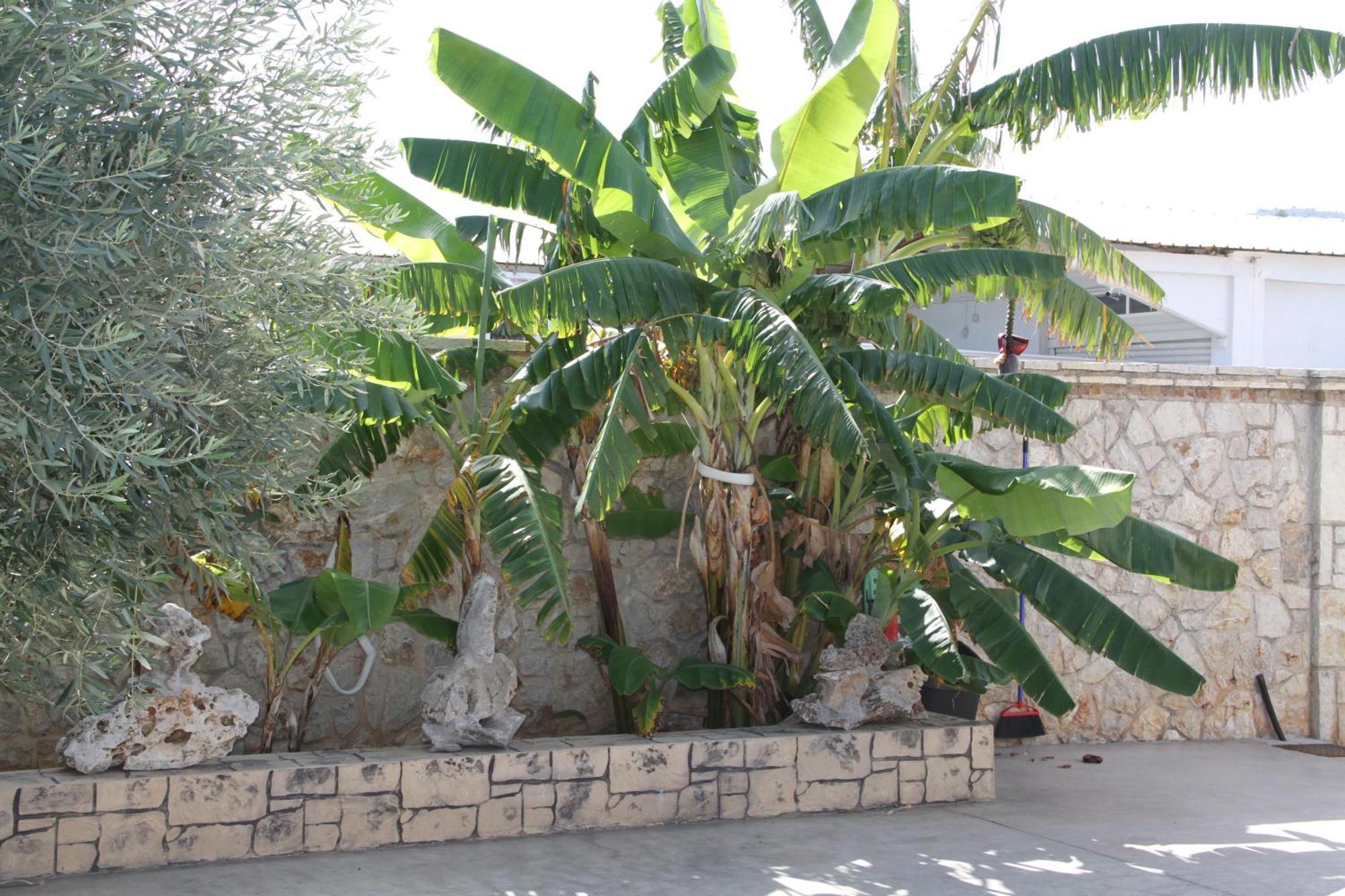 Αριων Village & Suites Nafplio Luaran gambar